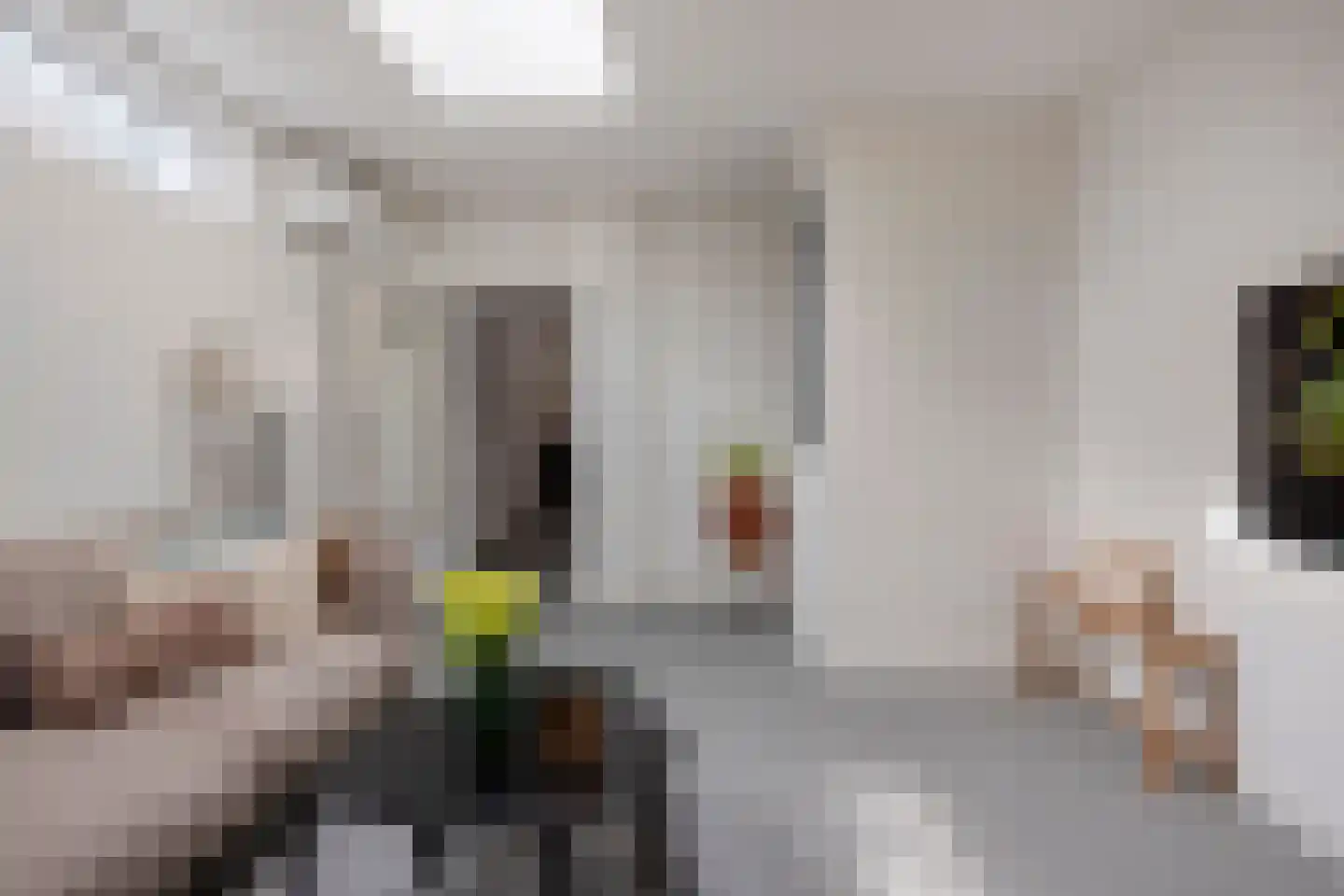 De Klaver 11 Heesch thumbnail 17