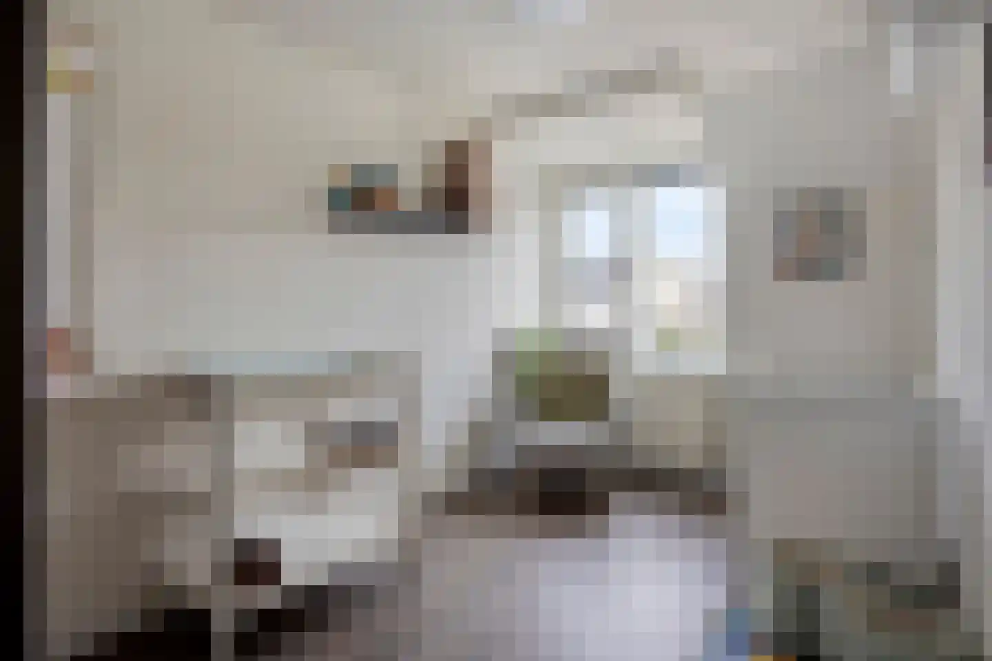 De Klaver 11 Heesch thumbnail 23