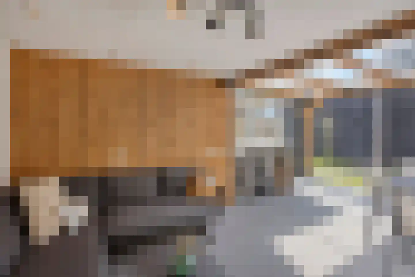 De Klaver 11 Heesch thumbnail 32