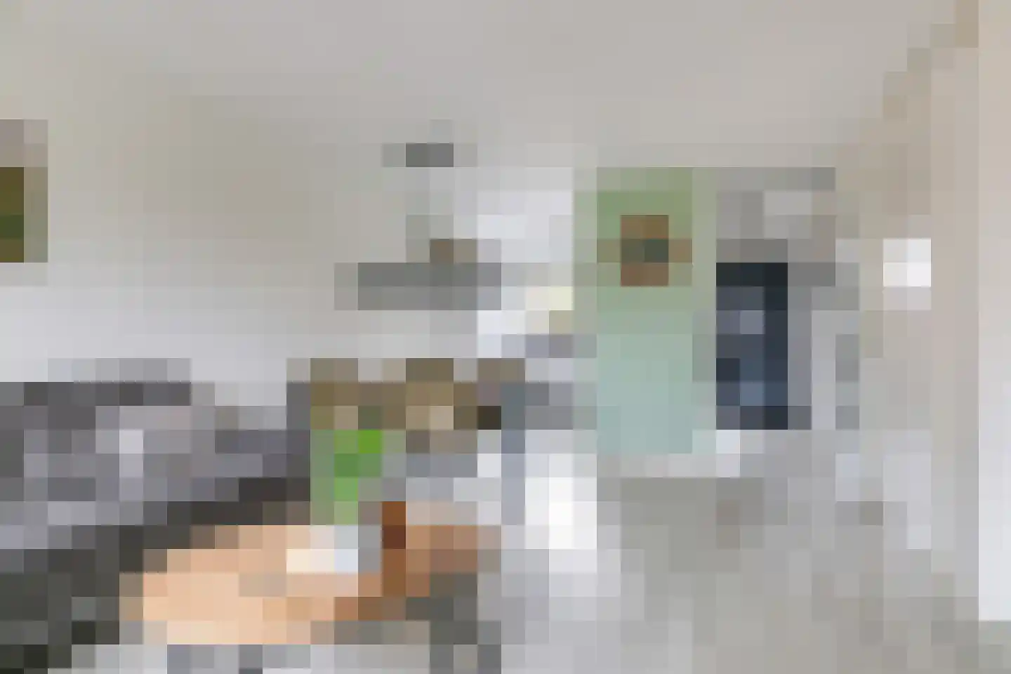 De Kleefse Kamp 62 Herveld thumbnail 22