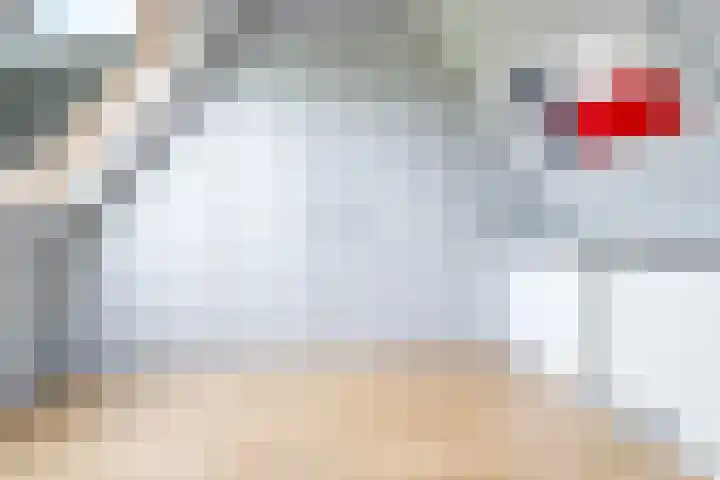 De Kleefse Kamp 62 Herveld thumbnail 46