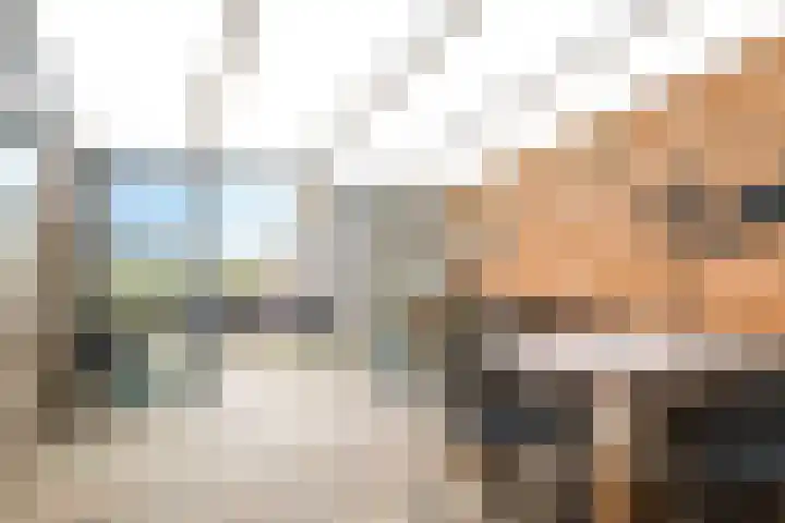 De Kleefse Kamp 62 Herveld thumbnail 54