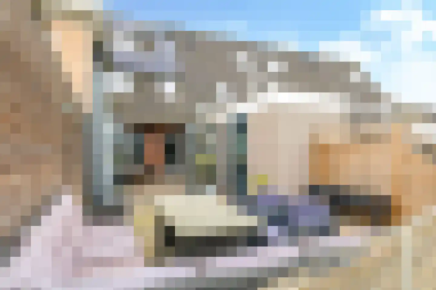De Kleefse Kamp 62 Herveld thumbnail 8