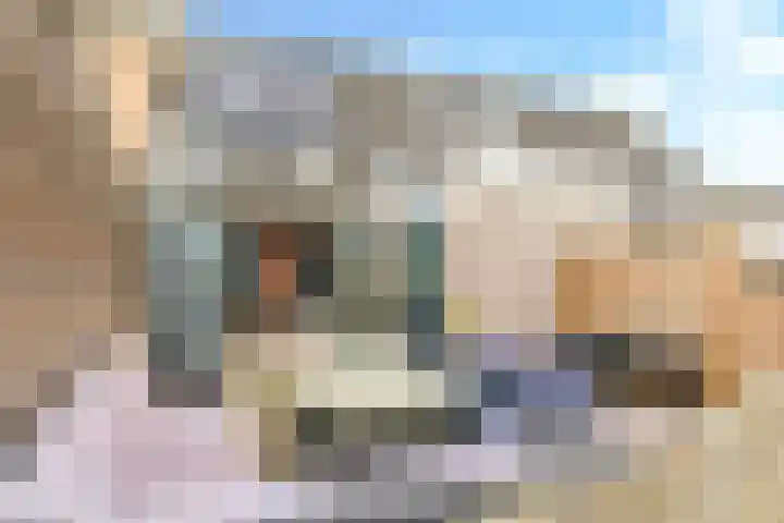 De Kleefse Kamp 62 Herveld thumbnail 8