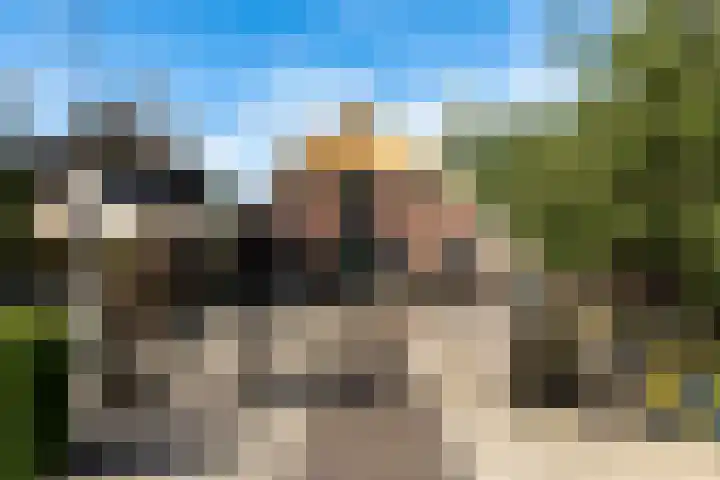 De Kleefse Kamp 62 Herveld thumbnail 82