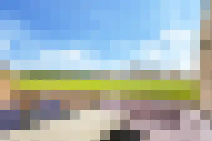De Kleefse Kamp 62 Herveld thumbnail 9