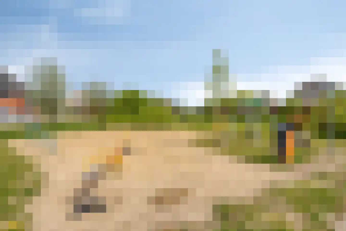 De Kleefse Kamp 68 Herveld thumbnail 26