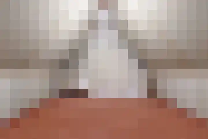 De Kleefse Kamp 78 Herveld thumbnail 19