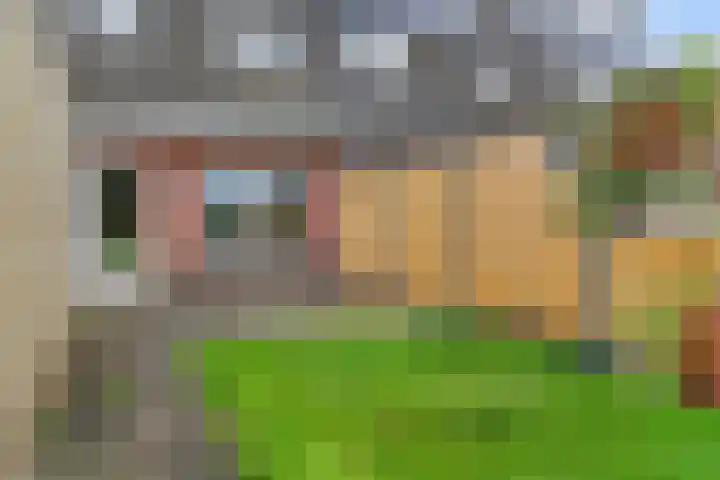 De Kleefse Kamp 78 Herveld thumbnail 23