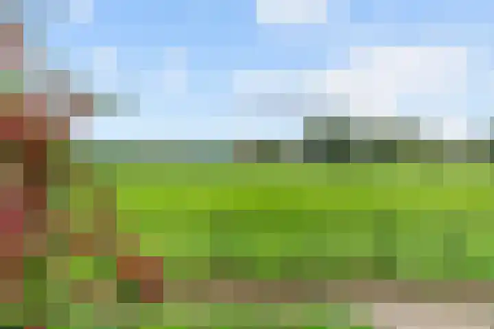 De Kleefse Kamp 78 Herveld thumbnail 24