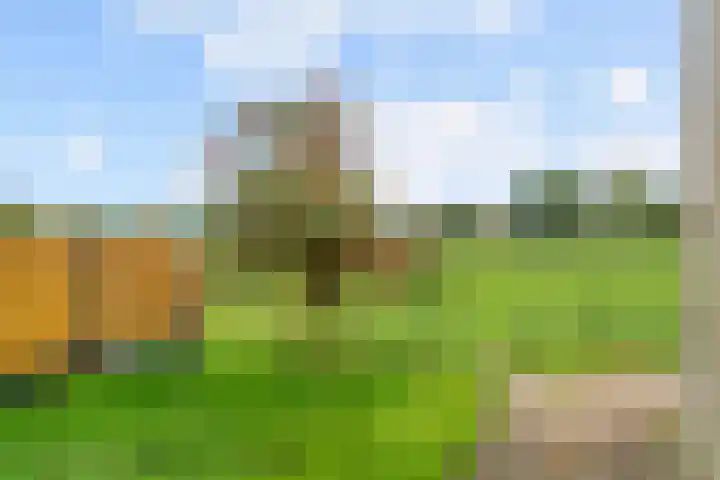 De Kleefse Kamp 78 Herveld thumbnail 27