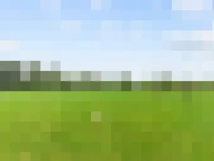 De Kleefse Kamp 78 Herveld thumbnail 30