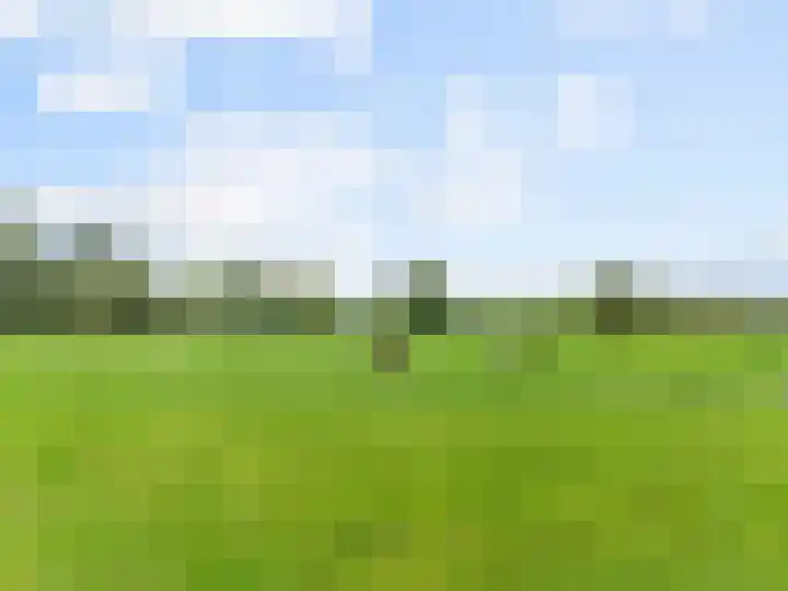 De Kleefse Kamp 78 Herveld thumbnail 31