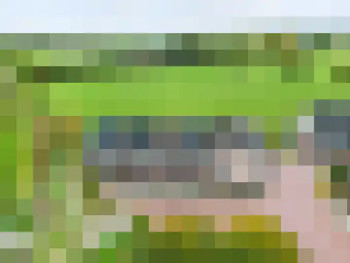 De Kleefse Kamp 78 Herveld thumbnail 35