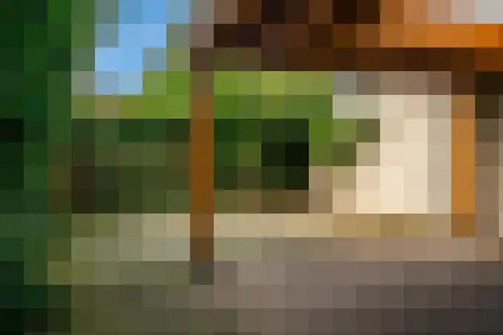 De Kleefse Kamp 98 Herveld thumbnail 20