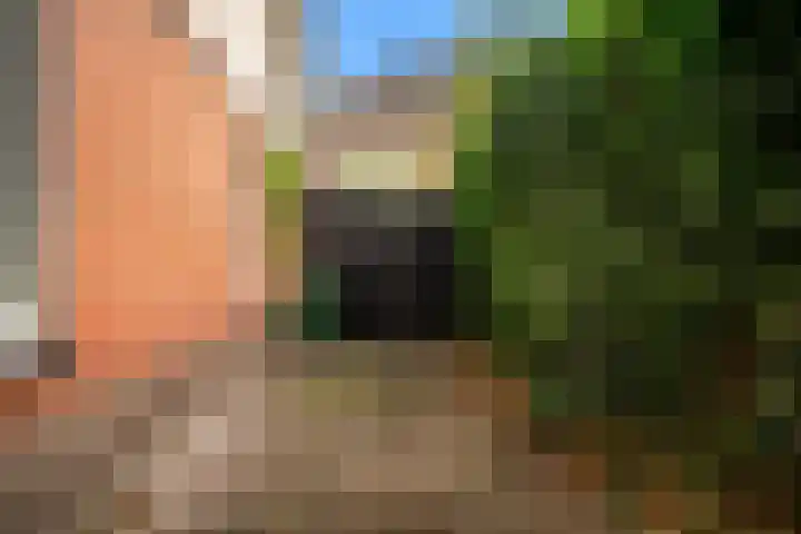 De Kleefse Kamp 98 Herveld thumbnail 22