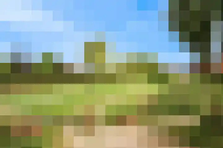 De Kleefse Kamp 98 Herveld thumbnail 30