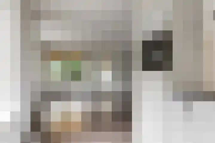 De Kleefse Kamp 98 Herveld thumbnail 5