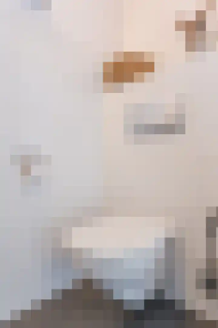 De Klef 10 Beers NB thumbnail 12