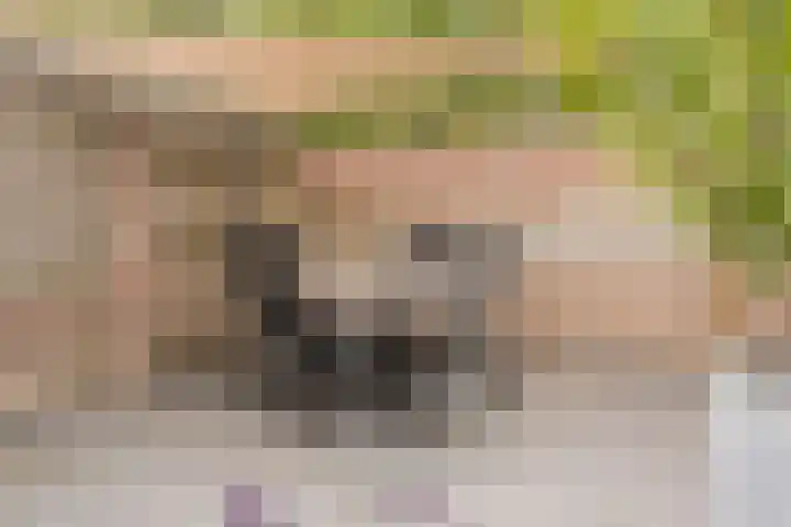 De Klef 10 Beers NB thumbnail 28