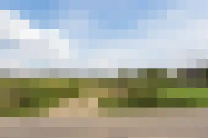 De Klef 10 Beers NB thumbnail 29