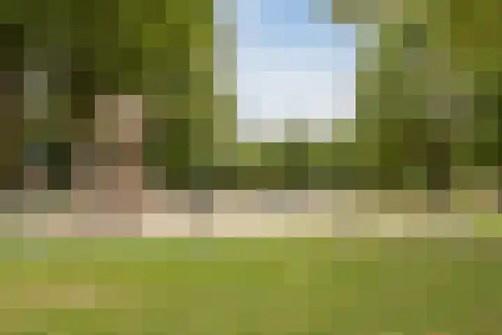De Klef 10 Beers NB thumbnail 30