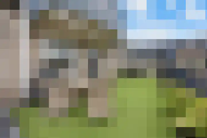 de Klef 10 Ewijk thumbnail 22