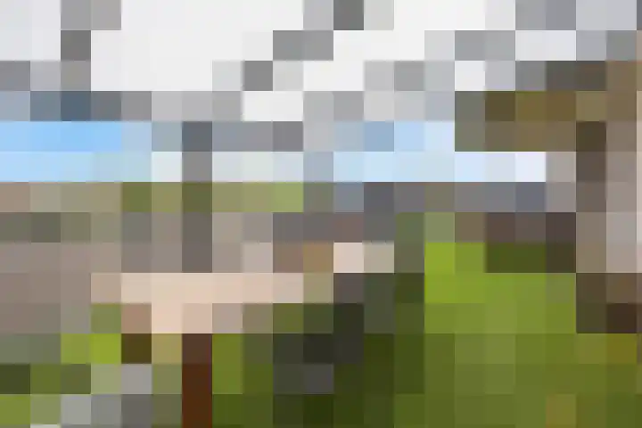 de Klef 10 Ewijk thumbnail 26