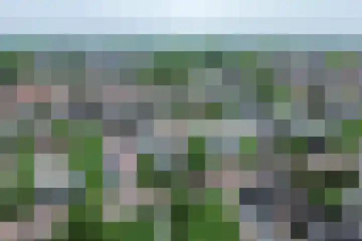 de Klef 10 Ewijk thumbnail 40