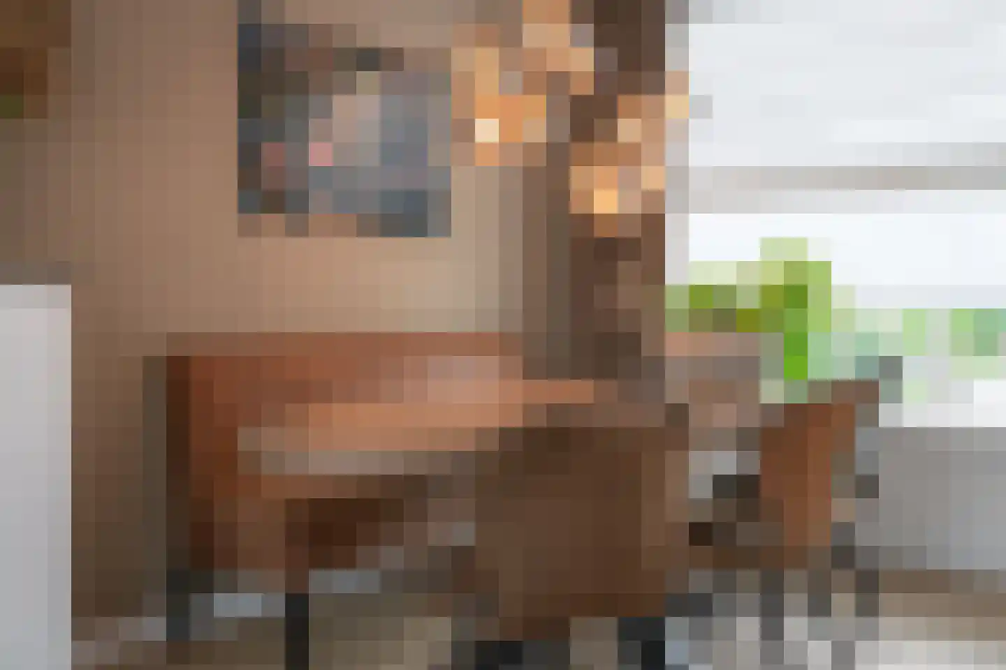 De Klef 3 Beers NB thumbnail 12