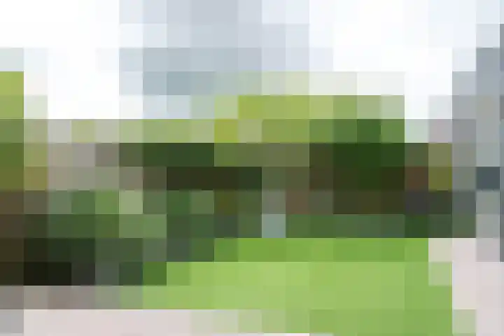 De Klef 3 Beers NB thumbnail 40