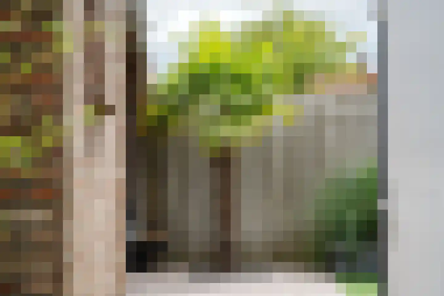 De Klef 3 Beers NB thumbnail 43