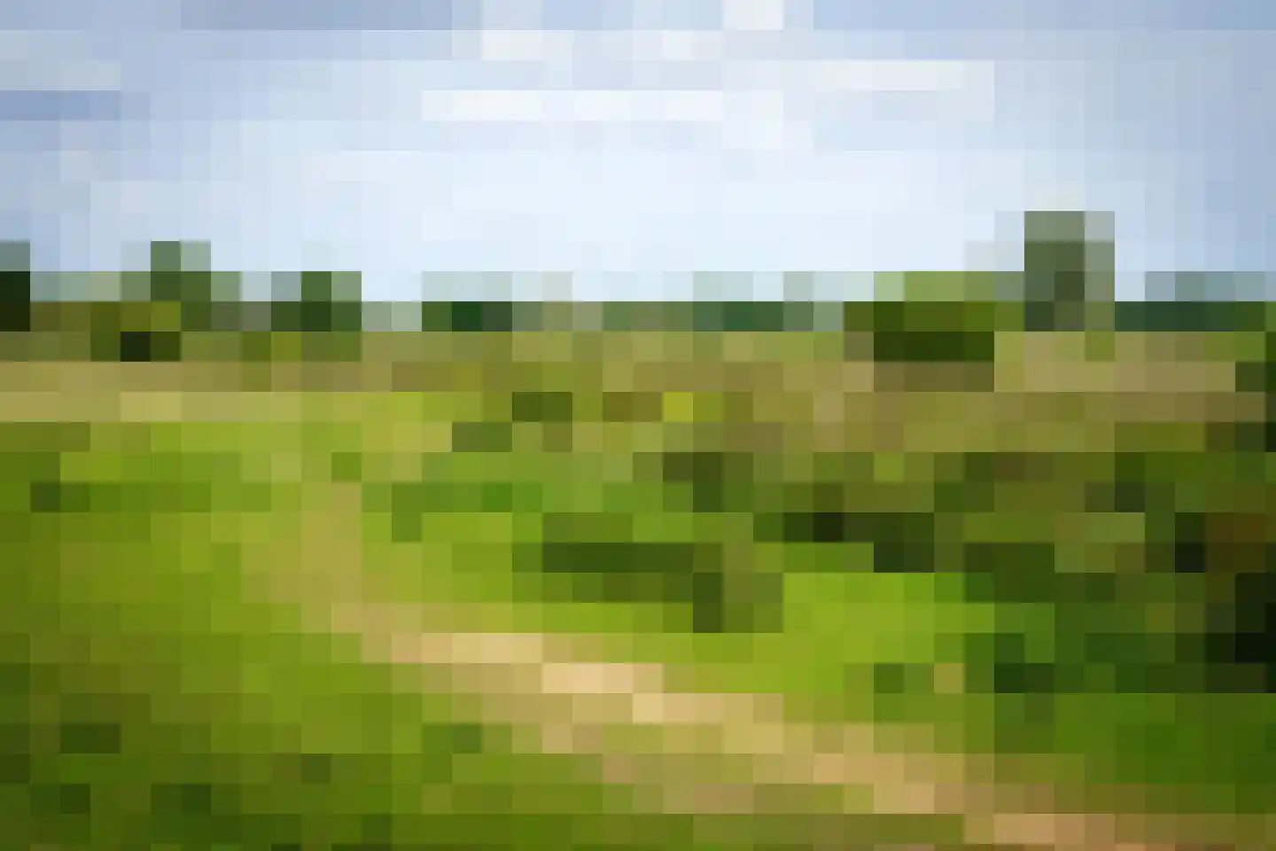 De Klef 3 Beers NB thumbnail 46