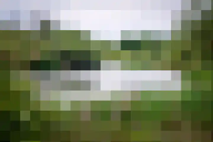 De Klef 3 Beers NB thumbnail 47