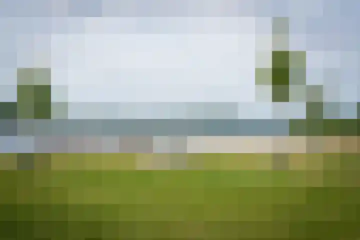De Klef 3 Beers NB thumbnail 48