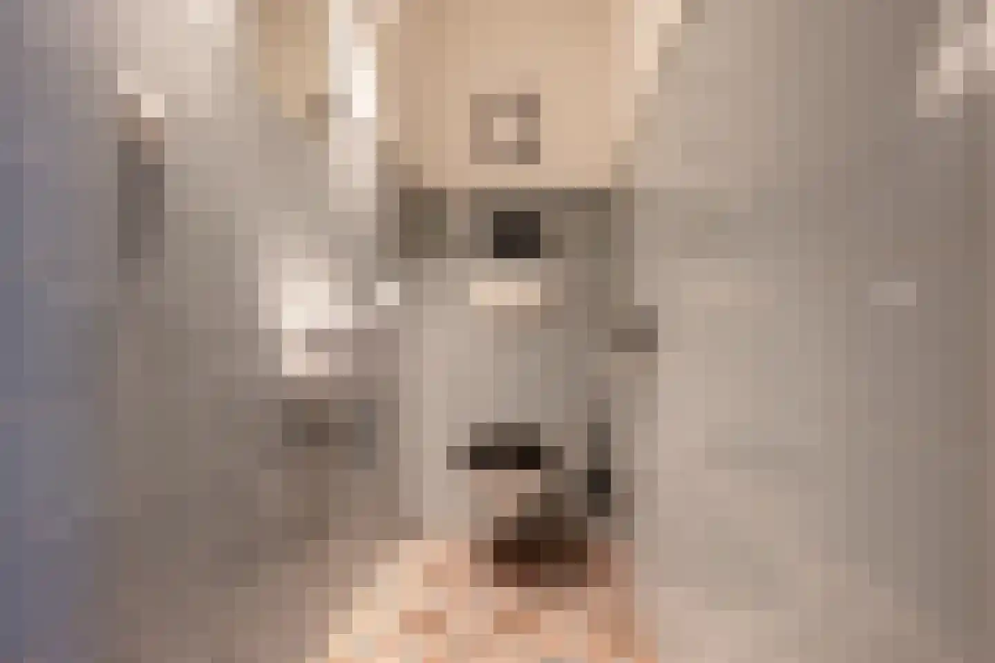 De Kleine Boonakker 4 Wormer thumbnail 10