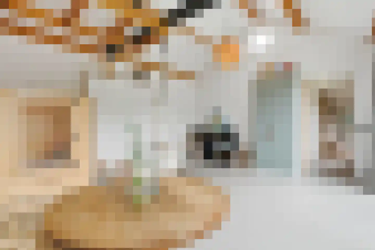 De kleine Dijk 4 Sint Anthonis thumbnail 22