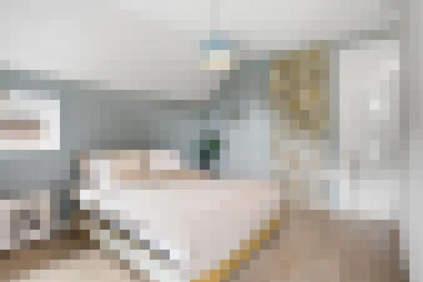 De kleine Dijk 4 Sint Anthonis thumbnail 31