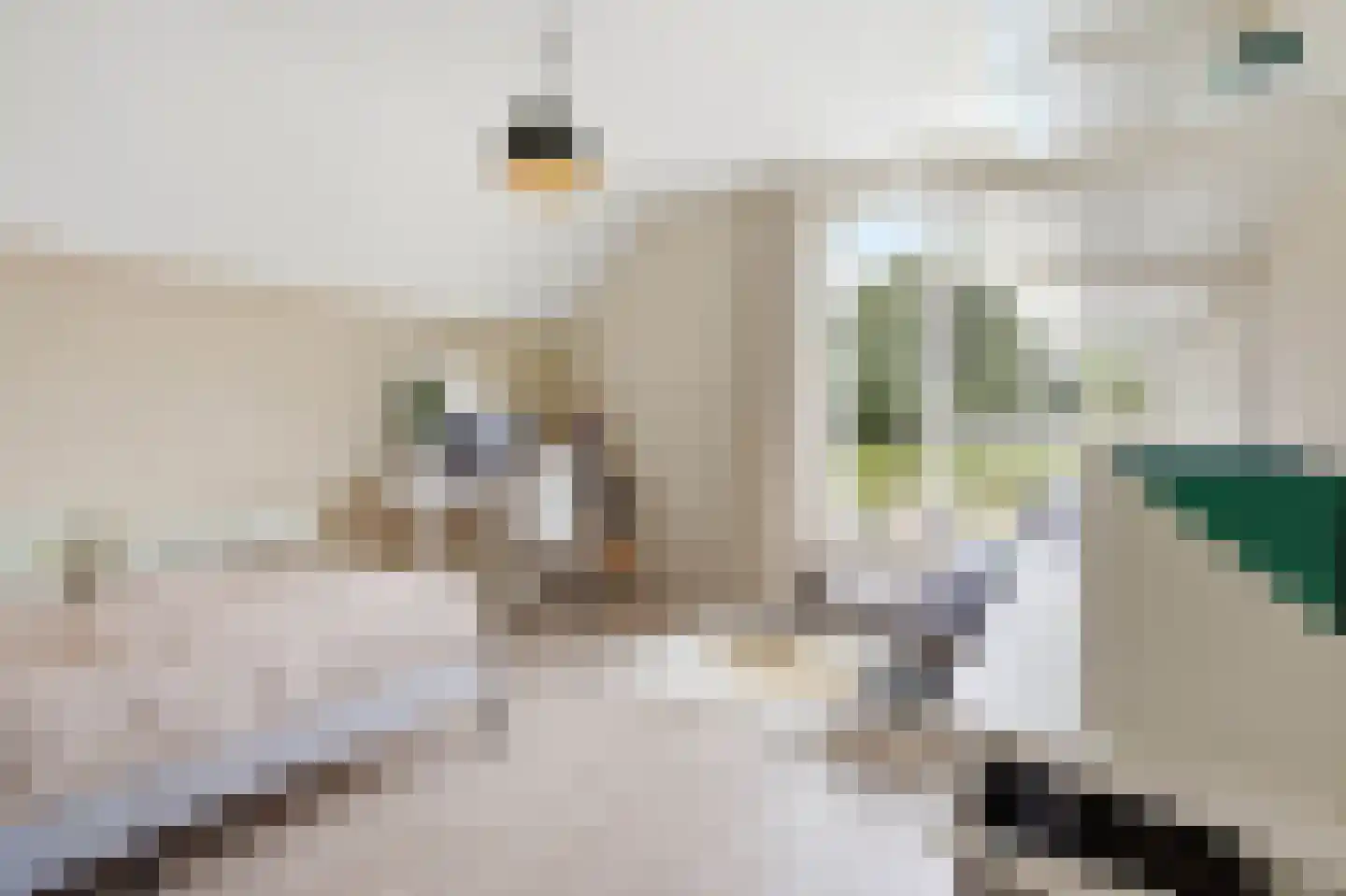 De kleine Dijk 4 Sint Anthonis thumbnail 34