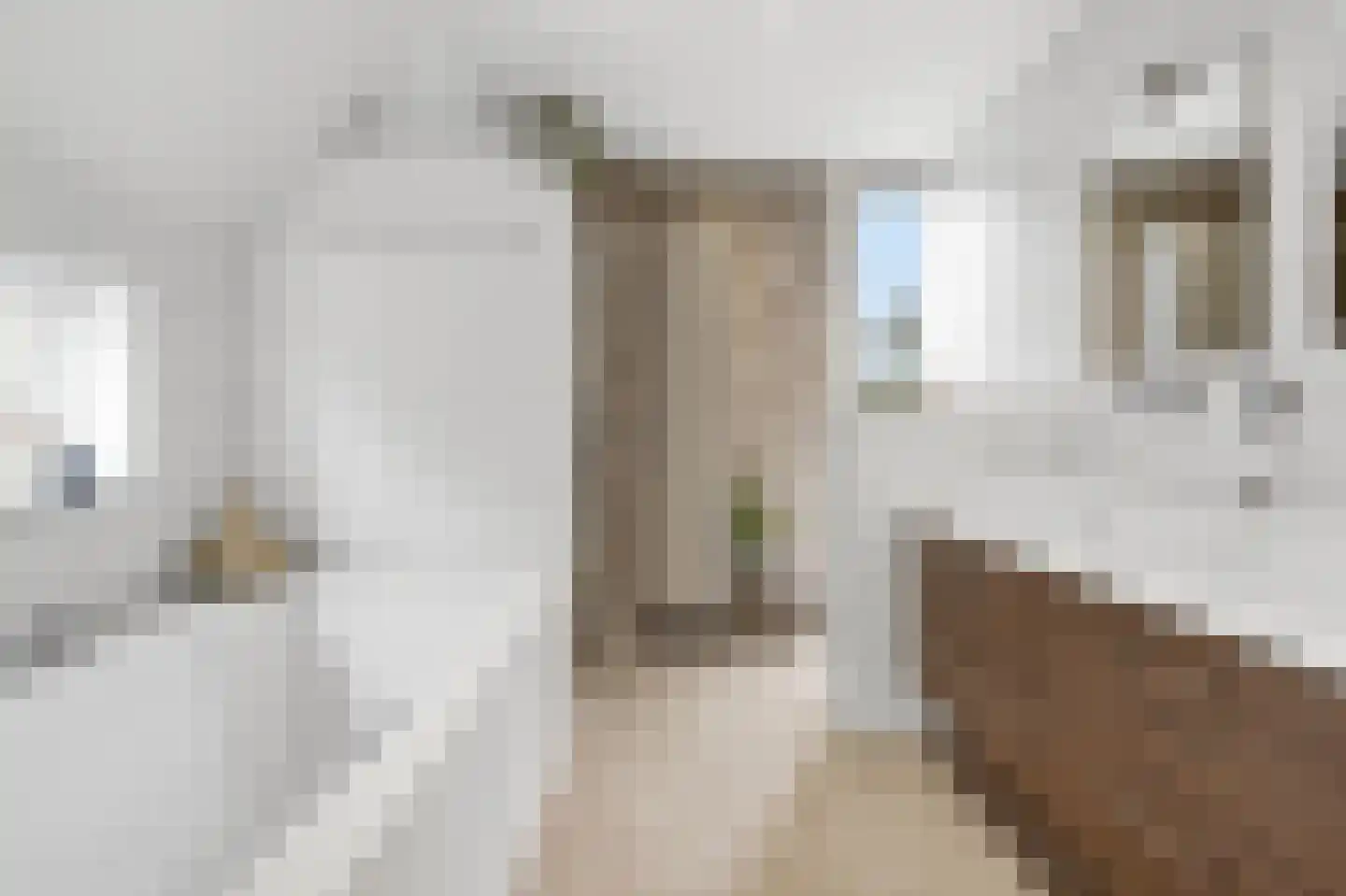 De kleine Dijk 4 Sint Anthonis thumbnail 36
