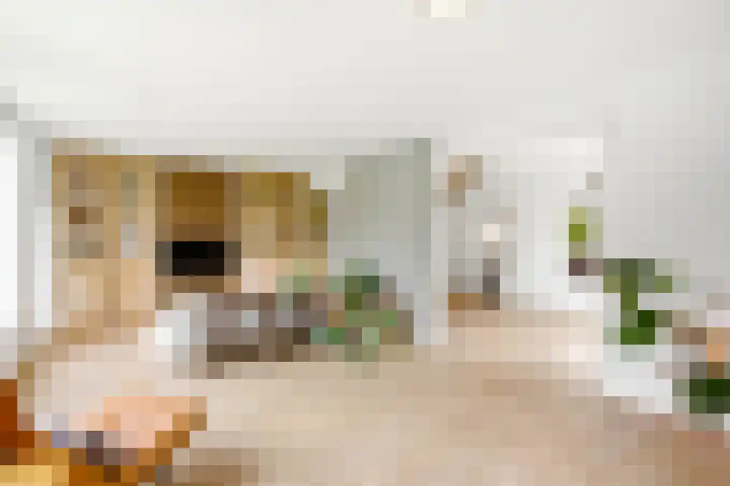 De kleine Dijk 4 Sint Anthonis thumbnail 4