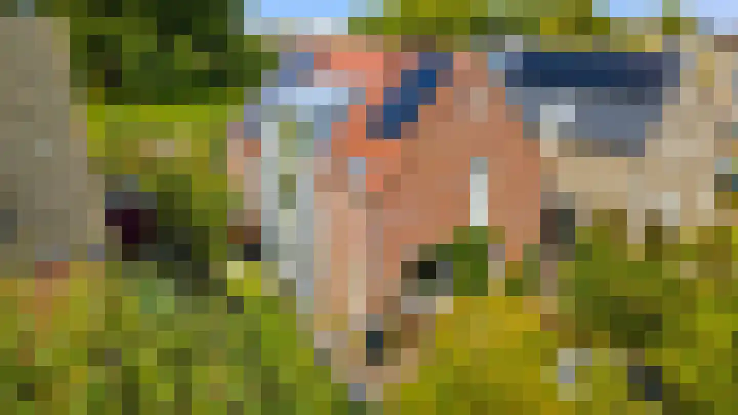 De kleine Dijk 4 Sint Anthonis thumbnail 47