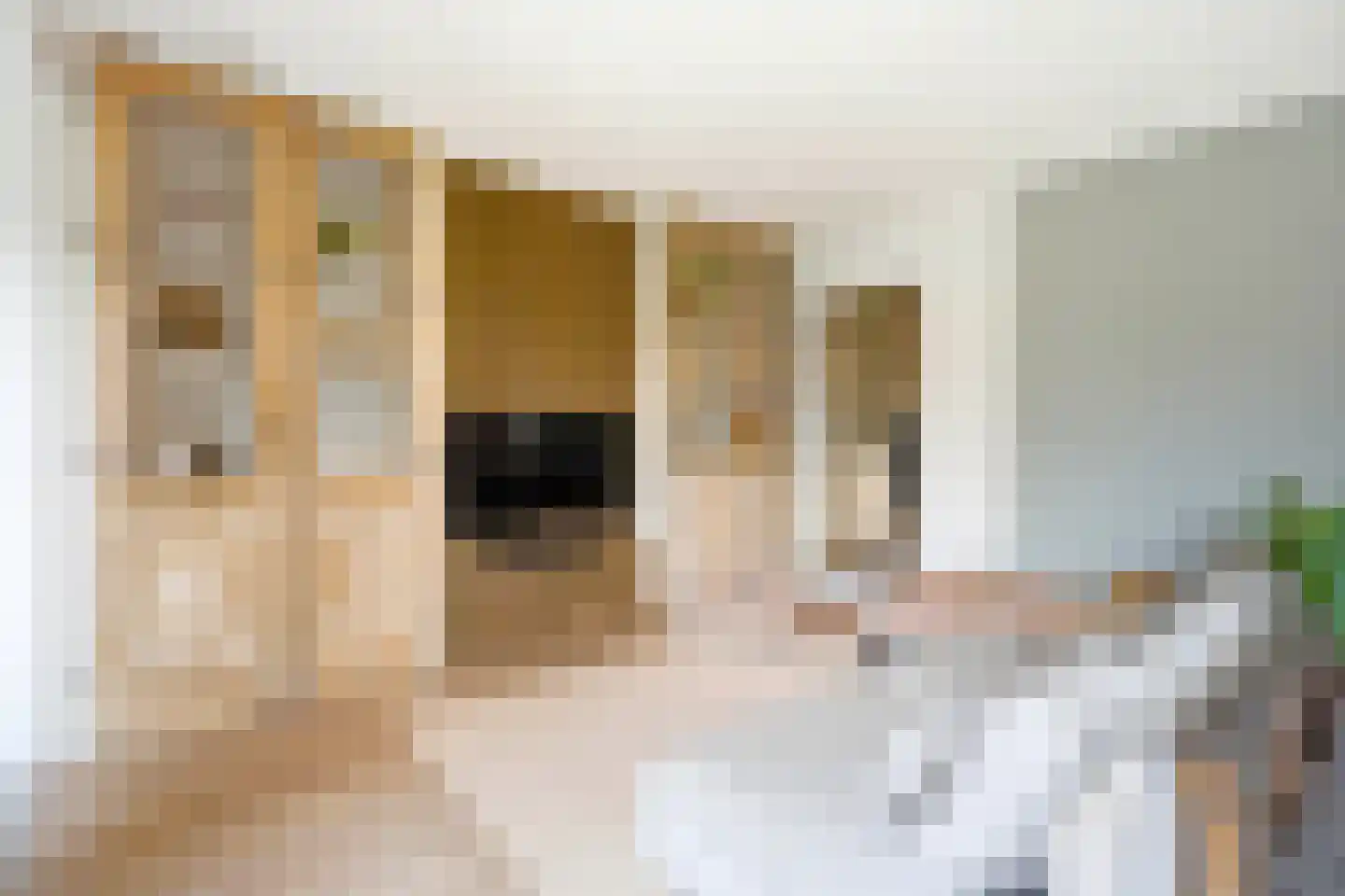 De kleine Dijk 4 Sint Anthonis thumbnail 6