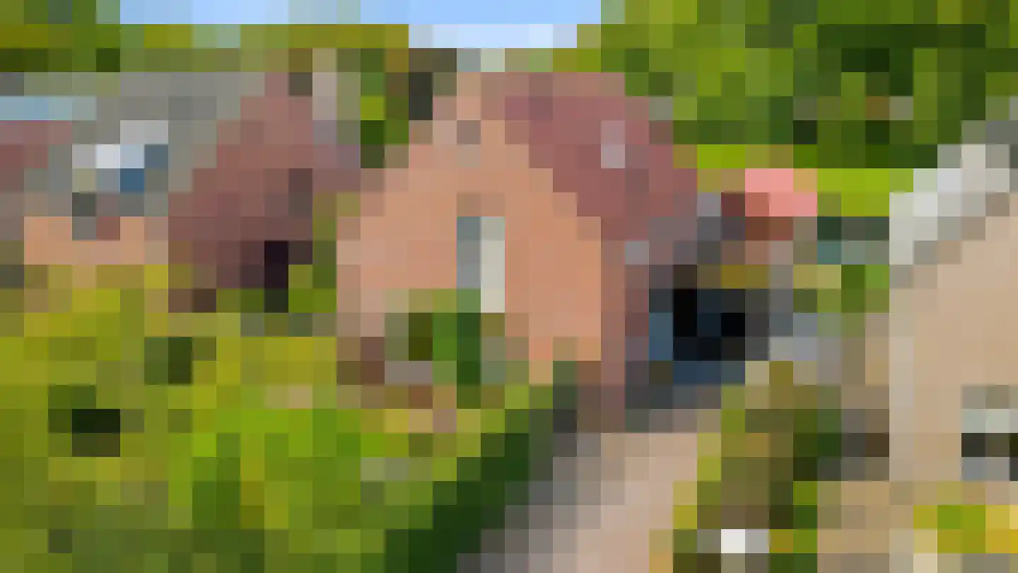 De kleine Dijk 4 Sint Anthonis thumbnail 66