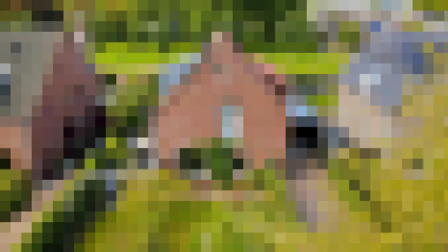 De kleine Dijk 4 Sint Anthonis thumbnail 67