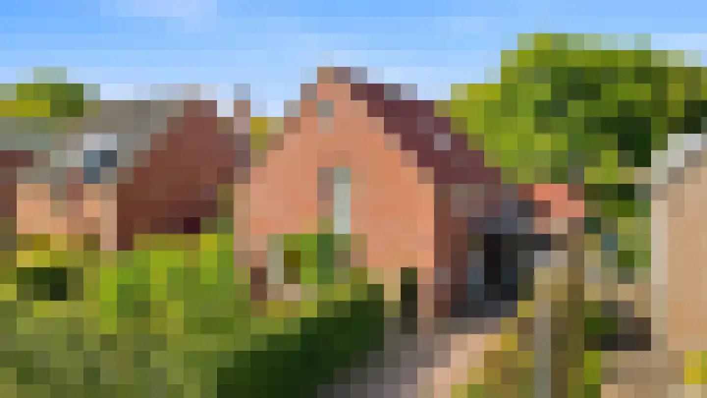 De kleine Dijk 4 Sint Anthonis thumbnail 68