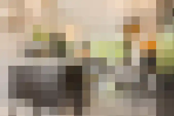 De Kleine Kampen 174 Rhenen thumbnail 11