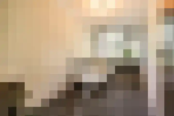 De Kleine Kampen 174 Rhenen thumbnail 16