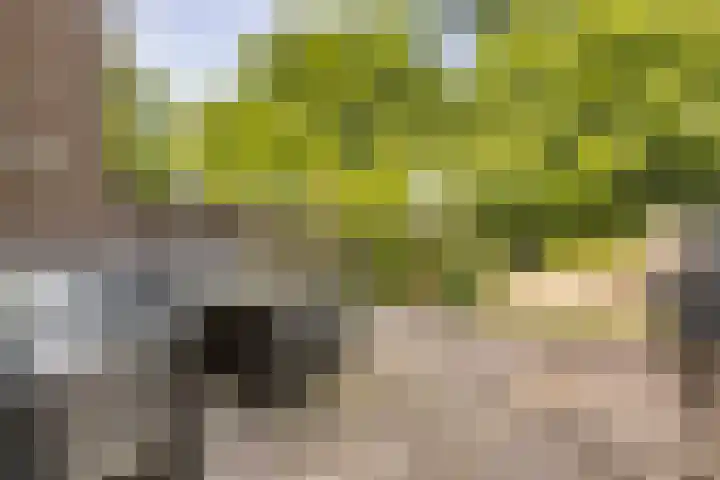 De Kleine Kampen 174 Rhenen thumbnail 27