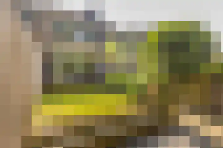 De Kleine Kampen 174 Rhenen thumbnail 29